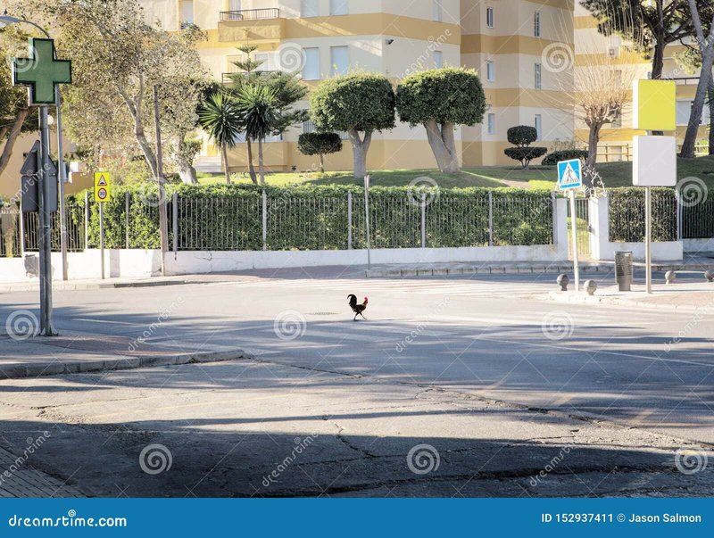 Chicken road online in Spain Chicken road online in Spain