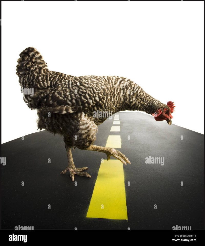 Chicken road online, chicken road